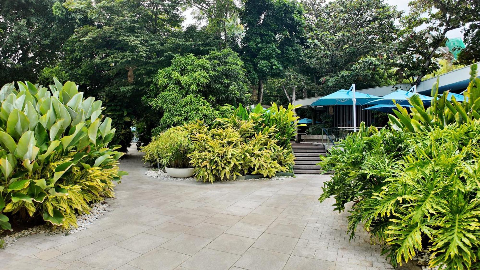 Dominiks Quite And Elegant Studio Ocean View Pool At Tambuli Resort High Floor Lapu-Lapu City Exterior photo